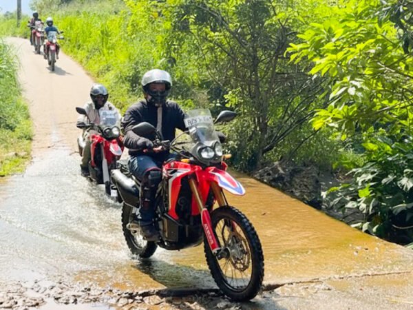 Jungle Fury – 14 Day Tours